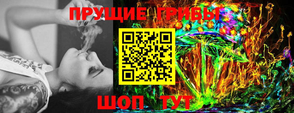 Псилоцибиновые грибы MAGIC MUSHROOMS  Вход с VPN  Галлюциногенные грибы Psilocybine cubensis  цены   Хасавюрт 