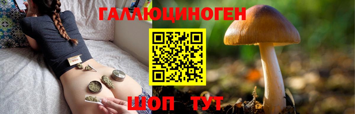Псилоцибиновые грибы прущие грибы Хасавюрт